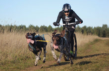 Indlæs billede til gallerivisning CROSS MAX 29er SORT